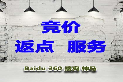顶尖SEM竞价代运营公司案例分析